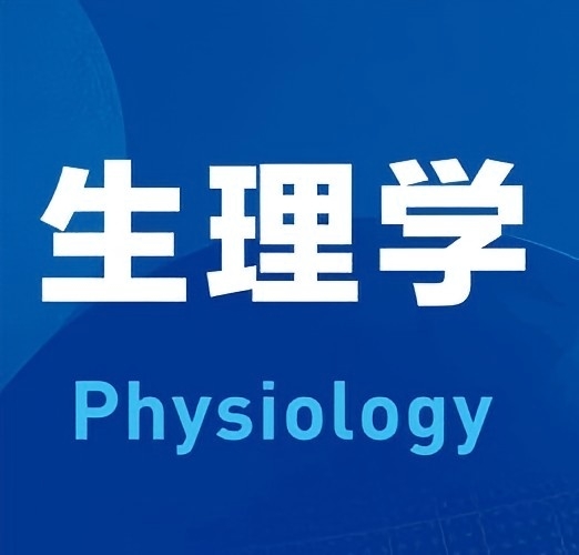 生智·笔记生成